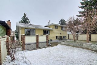 Photo 45: 140 Thames Close NW in Calgary: Thorncliffe Detached for sale : MLS®# A1097862