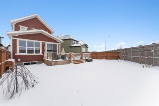 Photo 34: 208 Masters Crescent SE in Calgary: Mahogany Detached for sale : MLS®# A1170105
