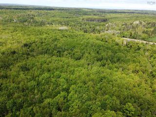 Photo 7: 726 Pleasant Brook Road in Pleasant Valley: 104-Truro / Bible Hill Vacant Land for sale (Northern Region)  : MLS®# 202213013
