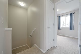Photo 22: 20239 - 56 Avenue in Edmonton: Hamptons House Half Duplex for sale : MLS®# E4165567