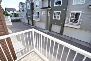 Photo 13: 429 Elgin Gardens SE in Calgary: McKenzie Towne Row/Townhouse for sale : MLS®# A1124293