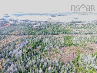 Main Photo: 7150 Highway 3 in Woods Harbour: 407-Shelburne County Vacant Land for sale (South Shore)  : MLS®# 202128329