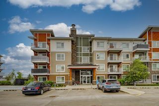 Photo 17: 7205 302 Skyview Ranch Drive NE in Calgary: Skyview Ranch Apartment for sale : MLS®# A2052941