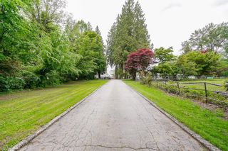 Photo 3: 13375 CEDAR Way in Maple Ridge: North Maple Ridge House for sale : MLS®# R2699690