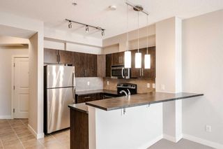 Photo 22: 210 2727 28 Avenue SE in Calgary: Dover Apartment for sale : MLS®# A2079510