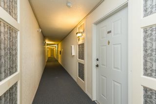 Photo 6: 201 32950 AMICUS Place in Abbotsford: Central Abbotsford Condo for sale in "THE HAVEN" : MLS®# R2815982