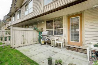Photo 19: 48 20350 68 Avenue in Langley: Willoughby Heights Townhouse for sale in "SUNRIDGE" : MLS®# R2317876