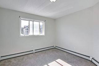 Photo 11: 4221 4975 130 Avenue SE in Calgary: McKenzie Towne Apartment for sale : MLS®# A1080601