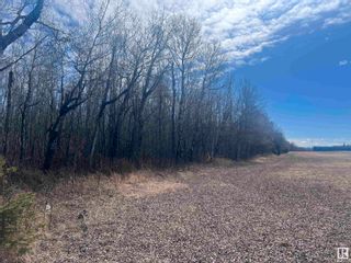 Photo 8: 4-23-63-17 SE: Rural Athabasca County Vacant Lot/Land for sale : MLS®# E4383613