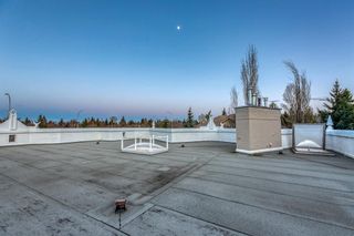 Photo 46: 1507 96 Avenue SW in Calgary: Pump Hill Detached for sale : MLS®# A2034780