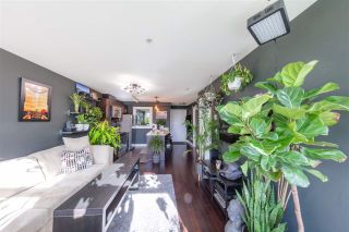 Photo 2: 306 5488 CECIL Street in Vancouver: Collingwood VE Condo for sale in "CECIL HILL" (Vancouver East)  : MLS®# R2438407