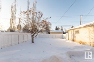 Photo 18: 9002 168 Street NW in Edmonton: Zone 22 House for sale : MLS®# E4321929