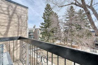 Photo 31: 306 315 Heritage Drive SE in Calgary: Acadia Apartment for sale : MLS®# A1090556