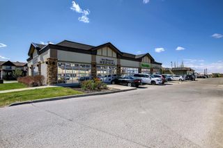 Photo 31: 319 117 Copperpond Common SE in Calgary: Copperfield Apartment for sale : MLS®# A1222494