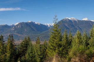 Photo 8: 1 40781 THUNDERBIRD Ridge in Squamish: Garibaldi Highlands Land for sale in "Stonehaven" : MLS®# R2780758
