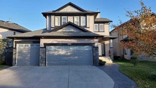 Photo 1: 140 Royal Birch Crescent NW in Calgary: Royal Oak Detached for sale : MLS®# A2143263