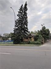 Photo 3: 2620 CENTRE Street NE in Calgary: Tuxedo Park Land for sale : MLS®# C4226732