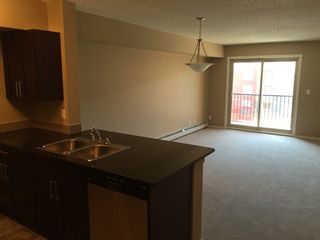 Photo 4: 5816 Mullen Place Northwest in Edmonton: Condo for rent (Magrath) 