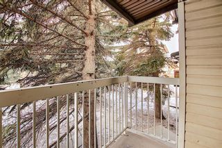 Photo 19: 64 3705 Fonda Way SE in Calgary: Forest Heights Apartment for sale : MLS®# A2034458