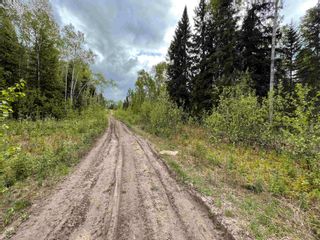 Photo 4: LOT 1 CHARLIE FRONTAGE Road: Fraser Lake Land for sale (Vanderhoof And Area)  : MLS®# R2695741