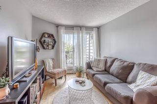 Photo 2: 403 60 38A Avenue SW in Calgary: Parkhill Apartment for sale : MLS®# A2012559