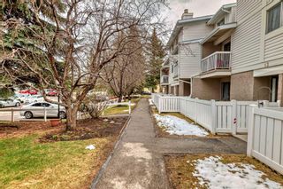Photo 3: 14 3015 51 Street SW in Calgary: Glenbrook Row/Townhouse for sale : MLS®# A2128442