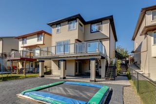 Photo 45: 114 Bridlecrest Boulevard SW in Calgary: Bridlewood Detached for sale : MLS®# A1258755