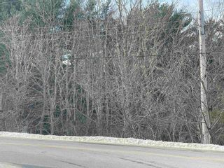 Photo 2: Lot Highway 210 in Greenfield: 406-Queens County Vacant Land for sale (South Shore)  : MLS®# 202205624