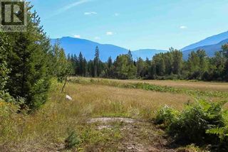 Photo 30: 2524 Enderby Mabel Lake Road in Enderby: Vacant Land for sale : MLS®# 10310628