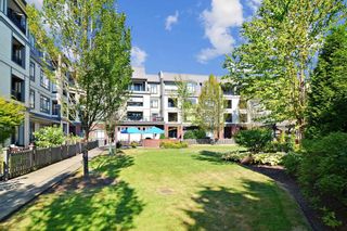 Photo 27: 229 8880 202 Street in Langley: Walnut Grove Condo for sale in "The Residences" : MLS®# R2783616