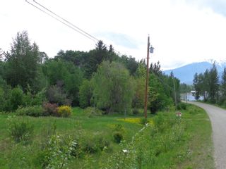 Photo 4: 2880 MOUNTAIN VIEW Road in McBride: McBride - Town Land for sale (Robson Valley)  : MLS®# R2879829