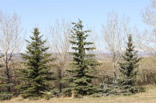 Photo 8: 255073 Glenbow Road in Rural Rocky View County: Rural Rocky View MD Residential Land for sale : MLS®# A2126705