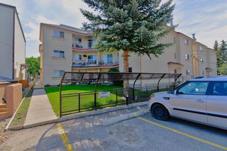 Photo 27: 307 1715 35 Street SE in Calgary: Albert Park/Radisson Heights Apartment for sale : MLS®# A2017879