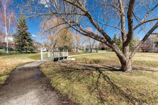 Photo 46: 202 Somerside Green SW in Calgary: Somerset Detached for sale : MLS®# A1098750