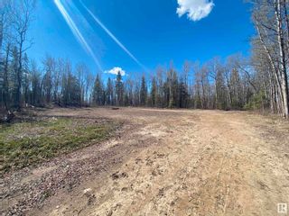 Photo 3: 51532 RGE RD 214: Rural Strathcona County Vacant Lot/Land for sale : MLS®# E4322549