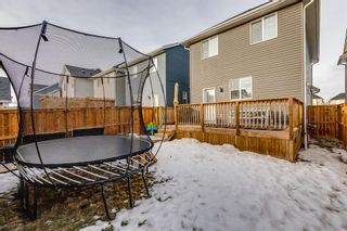 Photo 24: 329 South Point Green SW: Airdrie Detached for sale : MLS®# A2019163
