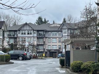 Photo 13: 262 27358 32 Avenue in Langley: Aldergrove Langley Condo for sale in "The Grand at Willow Creek" : MLS®# R2681535