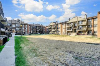 Photo 24: 4308 13045 6 Street SW in Calgary: Canyon Meadows Apartment for sale : MLS®# A1258735