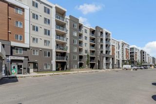 Photo 3: 1310 4641 128 Avenue NE in Calgary: Skyview Ranch Apartment for sale : MLS®# A2144002