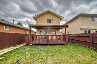Photo 25: 341 Martindale Boulevard NE in Calgary: Martindale Detached for sale : MLS®# A2130179