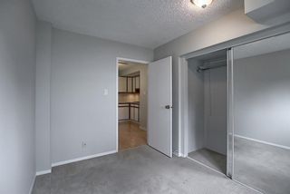 Photo 21: 1 312 CEDAR Crescent SW in Calgary: Spruce Cliff Apartment for sale : MLS®# A1036896