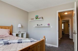 Photo 24: 6632 18A Street SE in Calgary: Ogden Detached for sale : MLS®# A1230699