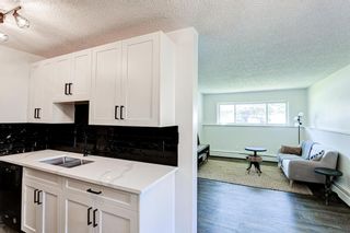 Photo 3: 45 366 94 Avenue SE in Calgary: Acadia Apartment for sale : MLS®# A1237610