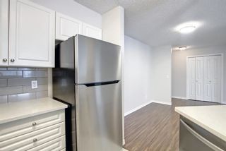 Photo 17: 1112 6635 25 Avenue NE in Calgary: Pineridge Apartment for sale : MLS®# A1177665