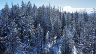 Photo 17: DL 801 HIGHWAY 3B in Rossland: Vacant Land for sale : MLS®# 2474556