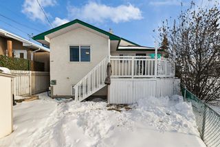 Photo 44: 331 19 Street NE in Calgary: Mayland Heights Detached for sale : MLS®# A2011674