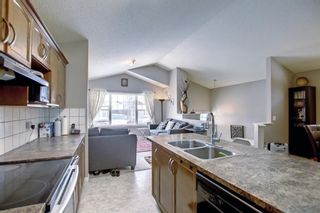 Photo 12: 250 Martinwood Place NE in Calgary: Martindale Detached for sale : MLS®# A1186078