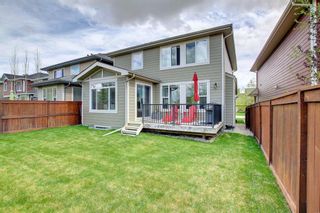 Photo 46: 21 Cranbrook Place SE in Calgary: Cranston Detached for sale : MLS®# A1219655