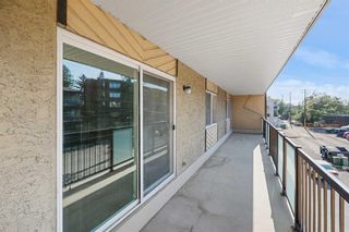 Photo 18: 303 617 56 Avenue SW in Calgary: Windsor Park Apartment for sale : MLS®# A2068870