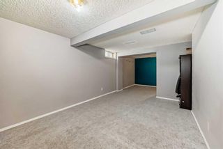 Photo 21: 104 Coventry Close NE in Calgary: Coventry Hills Detached for sale : MLS®# A2137437